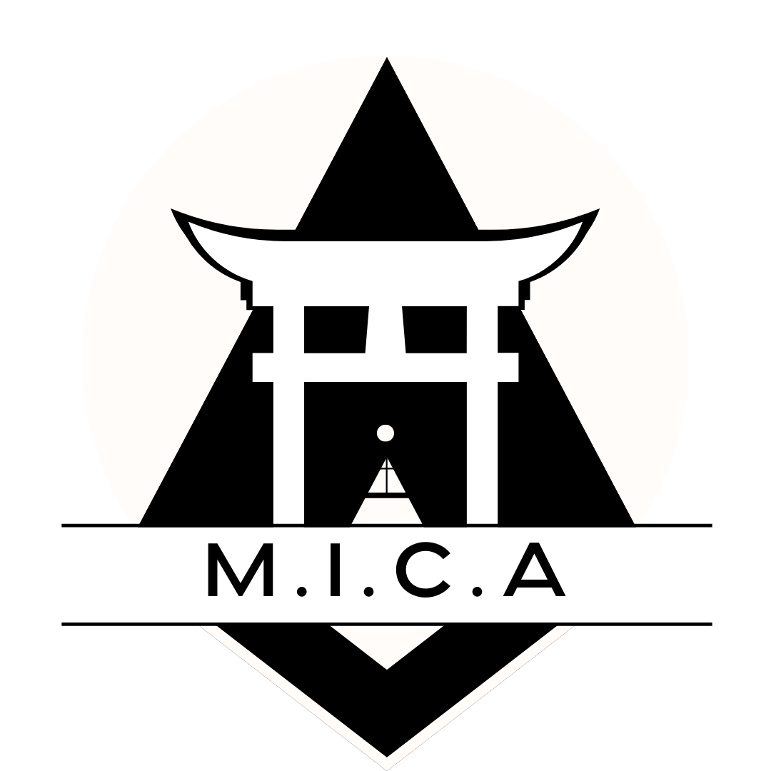 M.I.C.A - Arts Martiaux