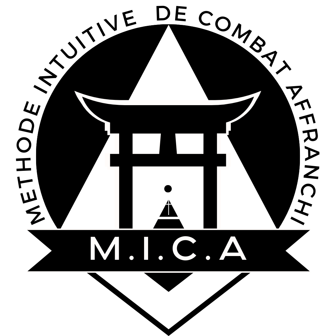 M.I.C.A - Arts Martiaux